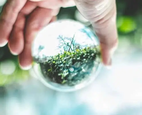 How to lead with your ESG commitment